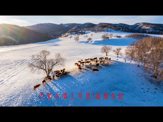 最美的天然畫廊，邂逅內蒙古烏蘭布統冬雪的童話世界，俯瞰壩上草原航拍二部曲