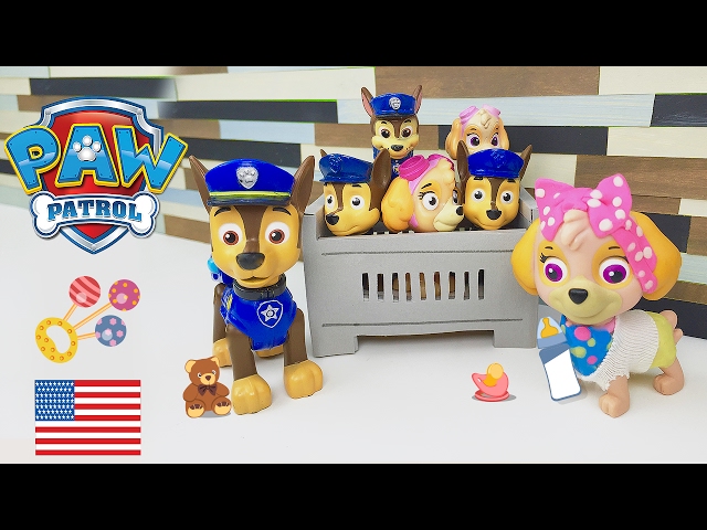 Paw Patrol Baby Chase and Skye bring the Babies Home from the Hospital Boy Nursery