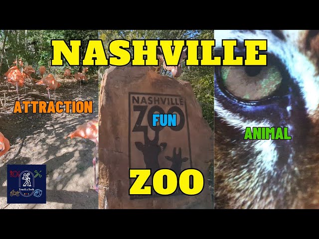 Nashville Zoo | Top Attractions, Animal Encounters, & Family Fun