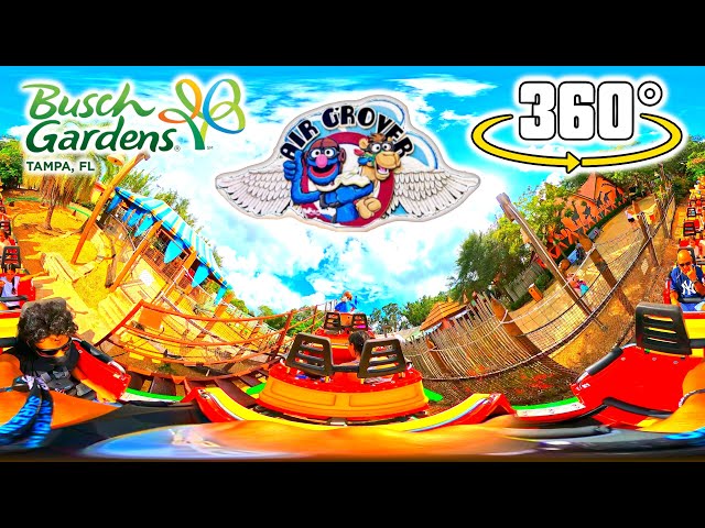 [4K VR 360°] Air Grover - Roller Coaster | On-ride POV | Busch Gardens Tampa Bay