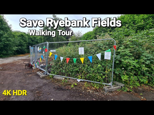 Save Ryebank Fields, Chorlton | Nature Walk | Wild Life | Green Manchester