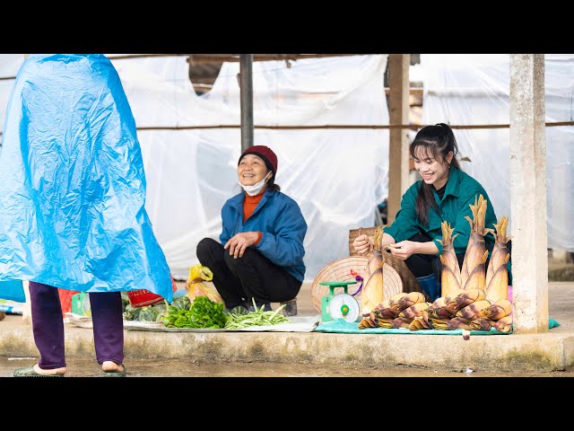 Harvesting Bamboo Shoots to Sell, Growing Vegetables and Cooking, Mountain Family Life