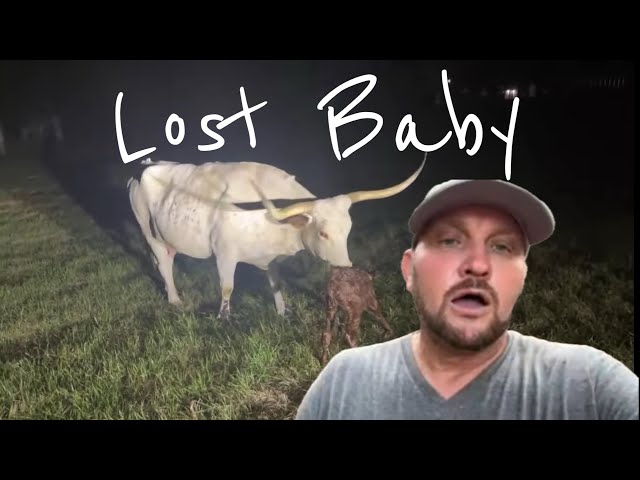 Lost baby! Hoping for best but…. Planning on worse