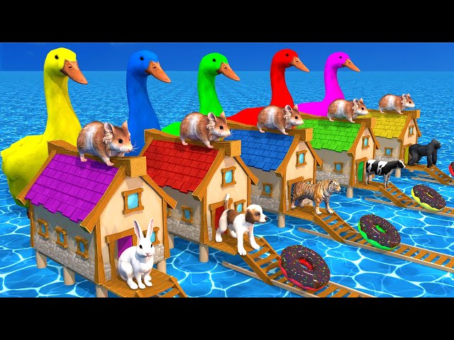 5 Giant Duck,Hamsters,Tiger,Cow,rabbit,Gorilla,crocodile,Dog Wild Animals Crossing Fountain & Pool