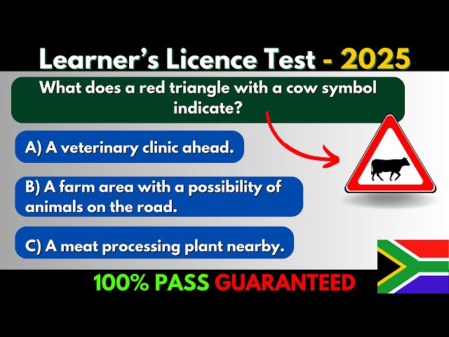 NEW 2025 Learner's Test Questions to Pass Your Learners Licence Test!