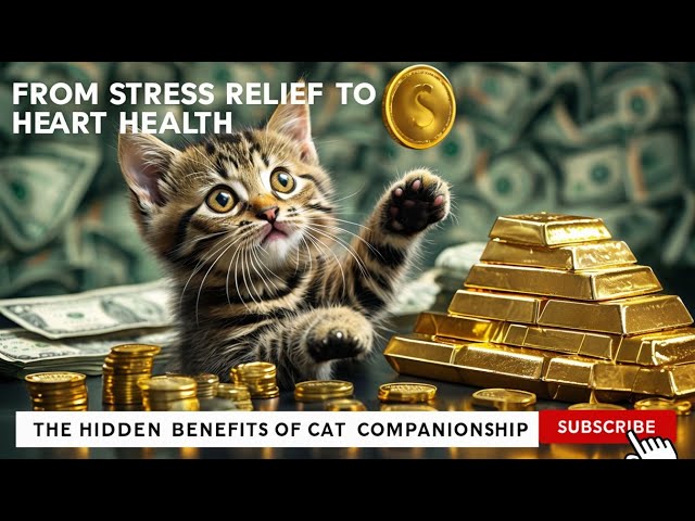 How Cats Boost Your Wealth: Surprising Benefits of Feline Companionship | Cats Care