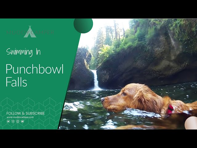 Swimming in Punchbowl Falls, Eagle Creek - Oregon