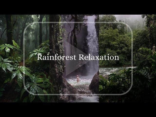 Relaxing Rainforest Rain Sounds – 1 Hour of Calming Nature Sounds