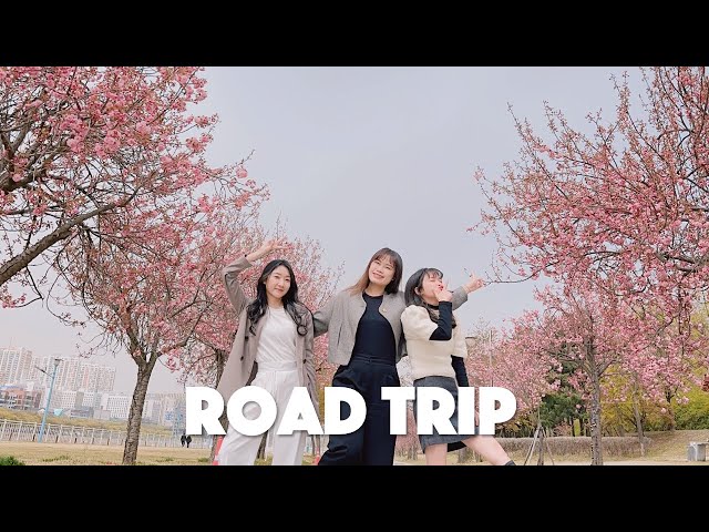 Korea Diaries || A fun and spontaneous Road Trip 🌸🚘💓 | A day in my life