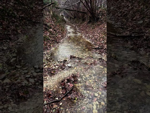 The rain is back. ☺️☔️ #nature #rain #rainsounds #water