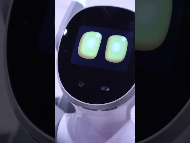 Loona Robot - New Commands 🤖 #shorts