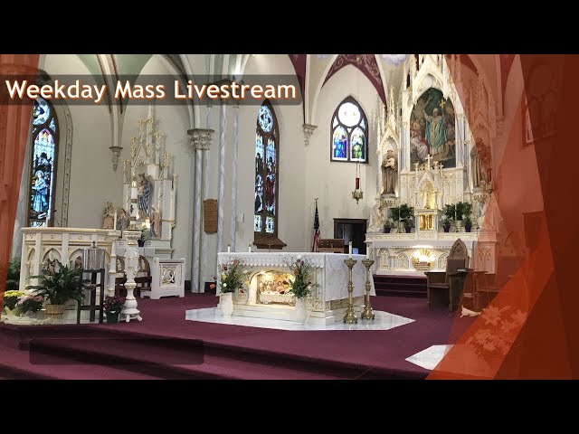 Weekday Mass Livestream - Thurs of the 4th Week of Easter