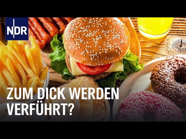 Dickes Deutschland - Wer ist schuld? | Doku | NDR Story