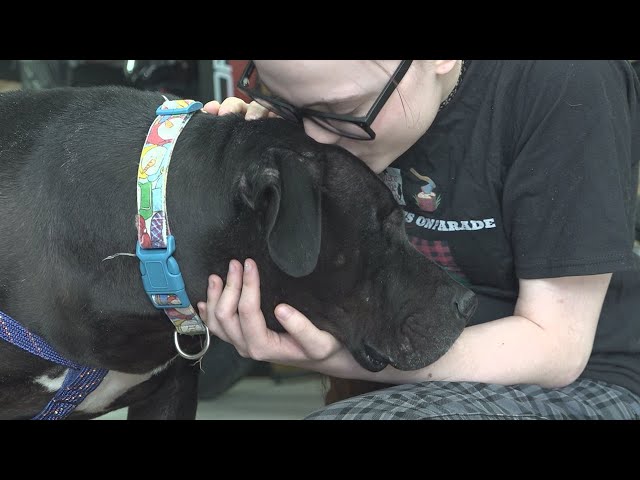 Central Maine Harley-Davidson hosts Su’paw' Bowl Party, benefits humane society