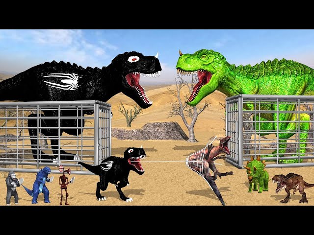 🔴LIVE :Evolution of Black Spider Tyrannosaurus Rex vs Dinosaurs Gorilla Siren Head Godzilla