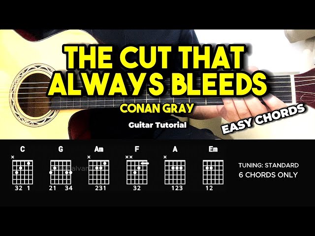 The Cut That Always Bleeds - Conan Gray | Easy Guitar Tutorial For Beginners (CHORDS & LYRICS)