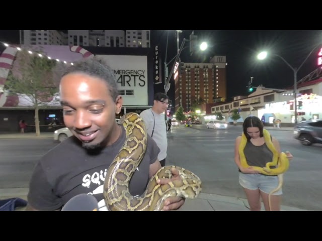 VR 180 3D Only in Las Vegas Giant Snakes of Jungle Boyz Exotics  - Music Church of Loops