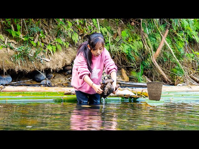 Survival in the Wild: Poor Girl Traps Fish and Accidentally Saves a Little Friend | Poor Girl +