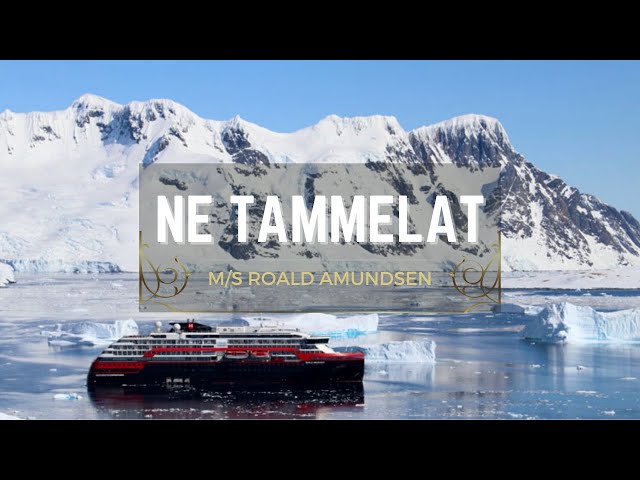 Everything concentrates on deck 6 - MS Roald Amundsen - 360 | Ne Tammelat