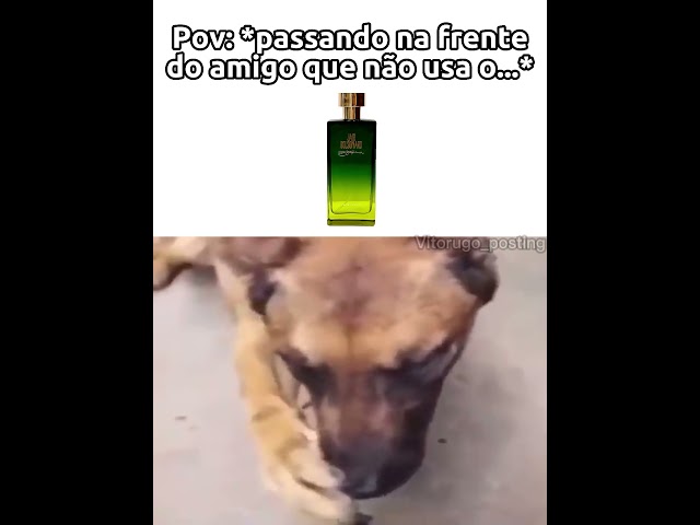 Perfume do Bolsonaro = Pererecas na conta 😎👉 #meme #edit #bolsonaro   #shorts