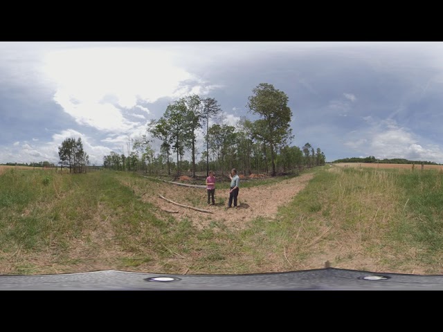 Longleaf Pine Forest 360 Hike: Introduction