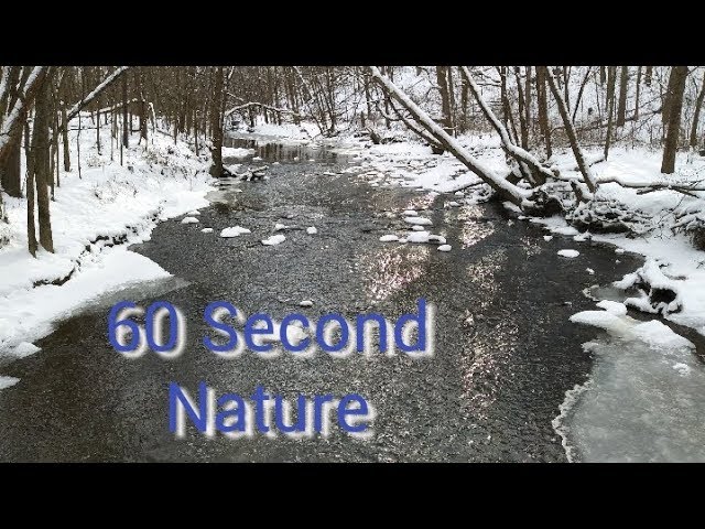 60 Second Thursday With Nature