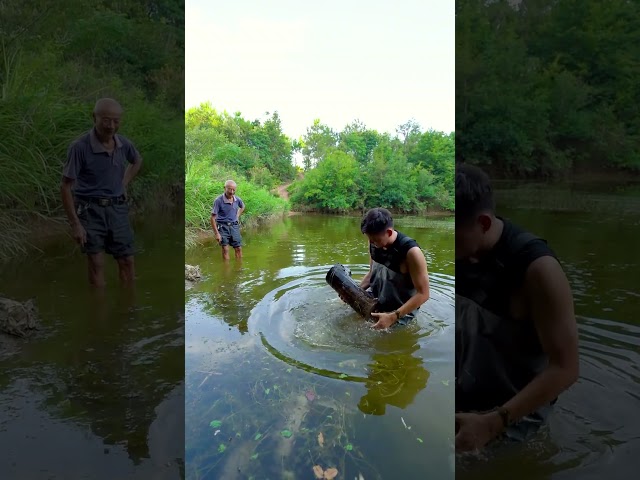 Inside this pond, it looks like it's full of aquatic plants