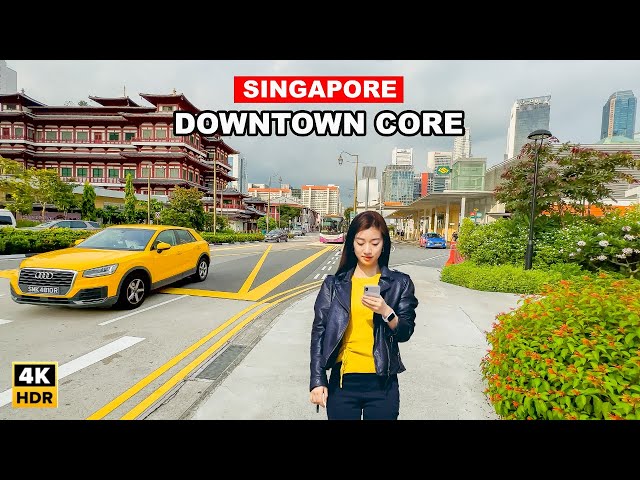 🇸🇬 Singapore City Tour | Singapore Downtown Core | Chinatown To Bugis Street 🌃