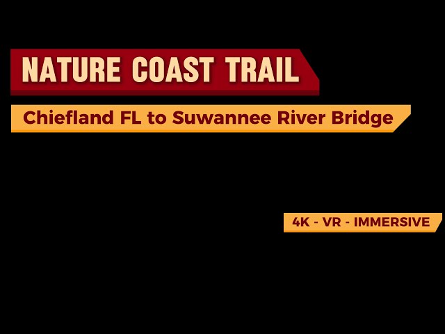 🌴 360° Nature Coast Trail Florida 4K | Chiefland to Suwannee River Bridge on eBikes with Music 🚴‍♂️