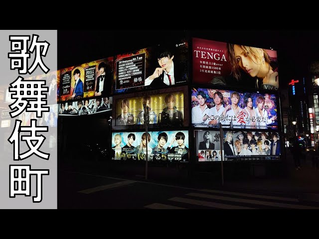 [Tokyo VR] Shinjuku Kabukicho Kabukicho Sakura-dori St. / Jan 2021