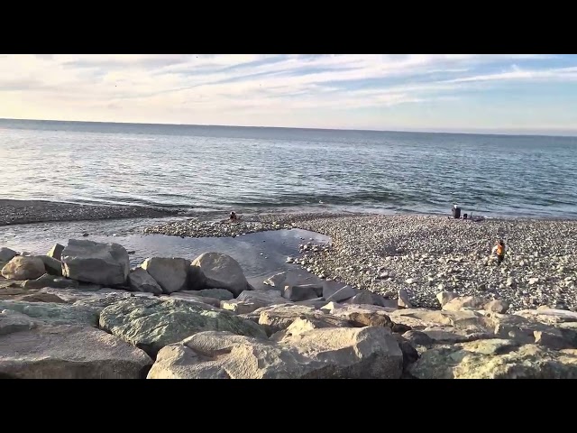 Fishermen catch fish near a turbulent river #shorts