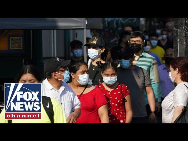 What will life in big cities look like after the pandemic? | FOX News Rundown