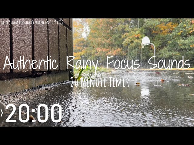 20 Minute Timer | Real Life Rain Storm | Authentic Rain Sounds