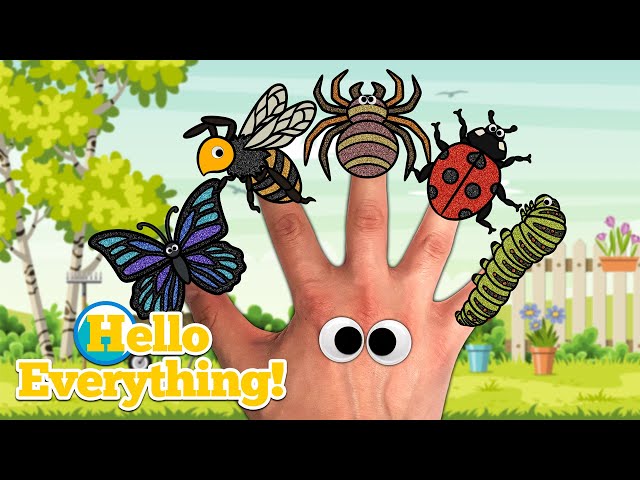 Insects Finger Family | Kids Songs and Nursery Rhymes