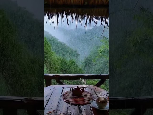 Rain, Tea, and Tranquility: The Ultimate ASMR Experience to Drift Into Sleep!