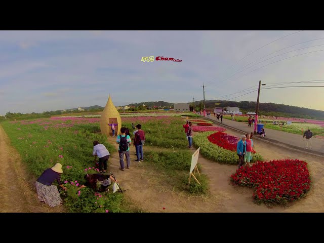 【平凡Cham】360 VR 全景 桃園花彩節 彩虹花道 X 藝術家作品 X 熱氣球升空 X 茶席體驗繽紛趣味的花彩節