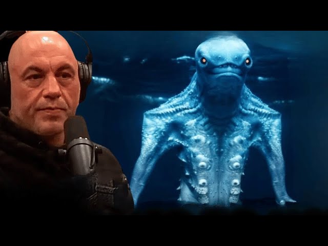 Joe Rogan Tells Us What The Navy Saw While Diving in the Ocean