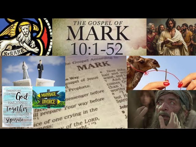 Friday Night Bible study Mark 10:1-52