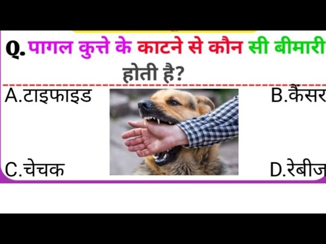 #real#shortvideo #shoryoutube  #dailyvlog #funny #hindisong #vlog #shoryoutube #shorts#viral