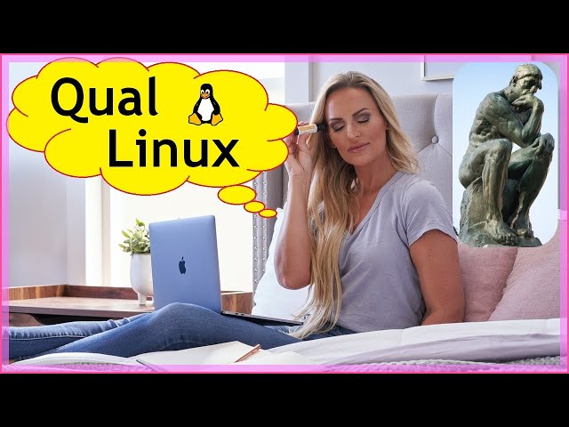 Qual a melhor distro Linux. Qual Linux escolher. Qual Linux devo usar?