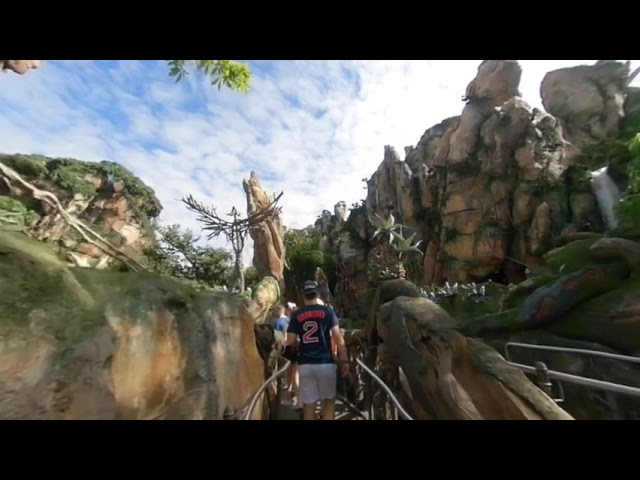 Animal Kingdom 3D