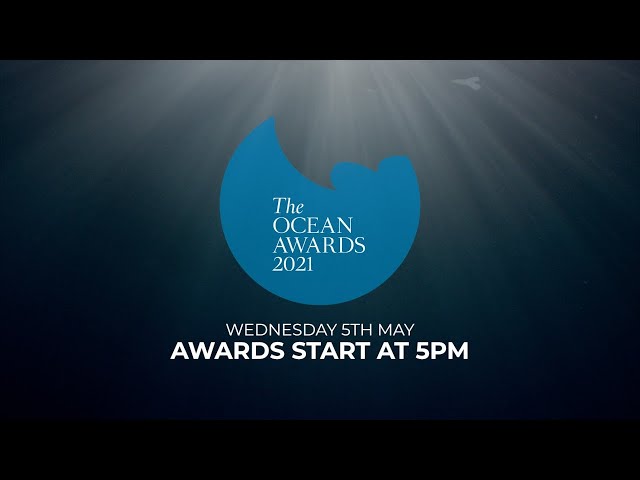 The Ocean Awards 2021