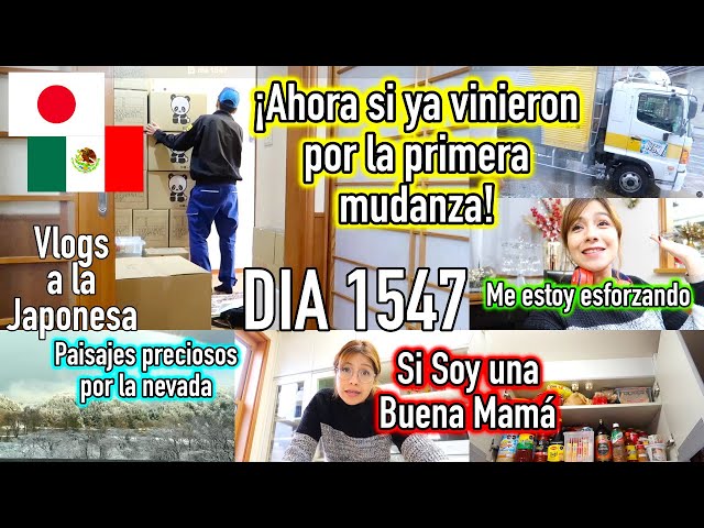 ¡POR FIN! Se Llevaron TODO + Soy Una BUENA MAMÁ JAPÓN  - Ruthi San ♡ 18-12-24