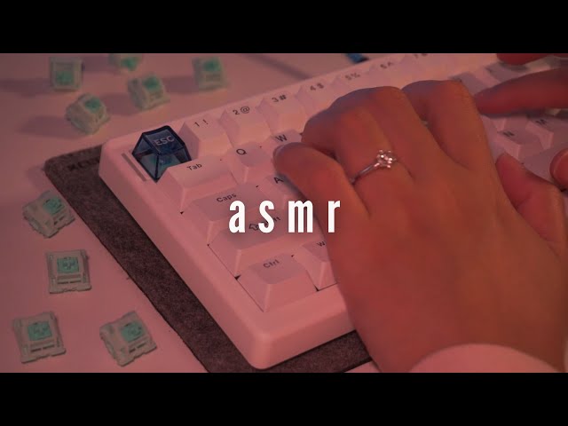 typing asmr ft. newest akko switches