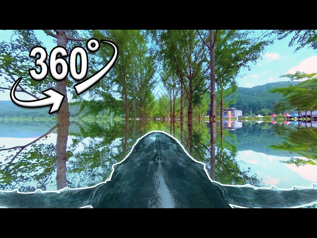 whale flying on a railroad | VR 360°