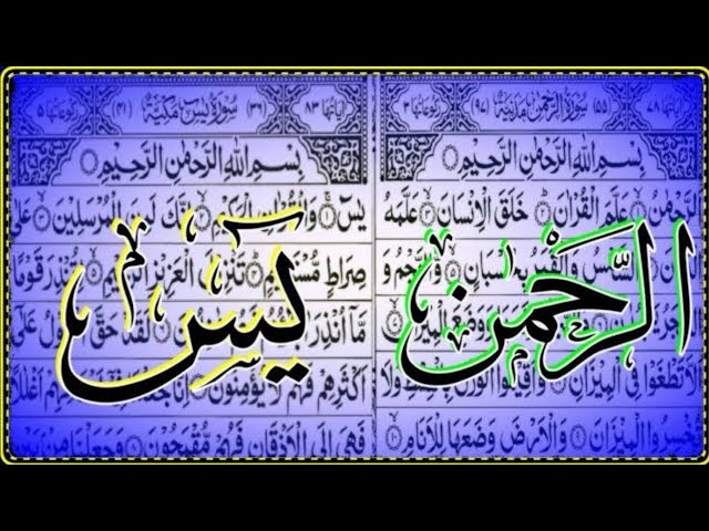 Surah Yaseen & Surah Rahman | Daily Quran Tilawat Surah Yasin Surah Rahman surah yaseen  EP 325