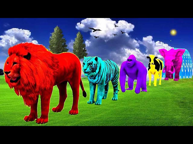 Long Slide Game With Elephant Gorilla Buffalo Hippopotamus Tiger - 3d Animal Game - Funny 3d Animals