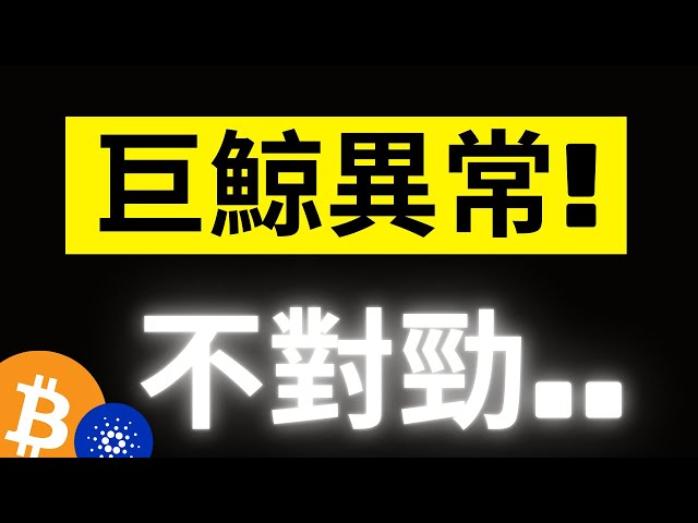 比特幣貿易戰開打急跌1萬美金! 但大鯨魚卻又開始買入..注意了! 負費率空頭開始堆積! 山寨幣血流成河.. #eth #ada