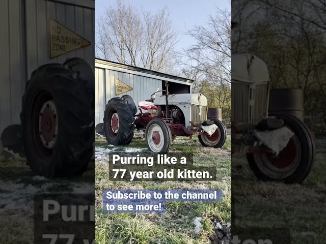 Antique Tractor Cold Start // 1945 Ford 2N #shorts