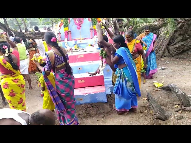 maaviduthikottai paalkudam||மாவிடுதிக்கோட்டை பால்குடம்||village thiruvila||part1